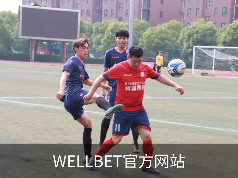 WELLBET官方网站概况